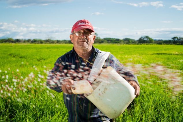 Надбавка к пенсии за работу в сельском хозяйстве
